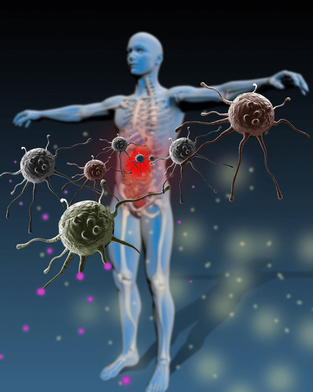 Immunity Boost